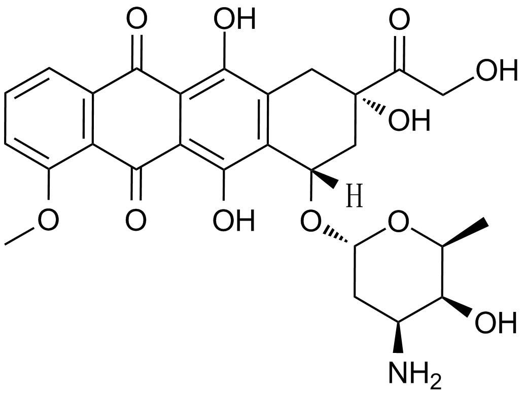 Doxorubicin Chemical Structure