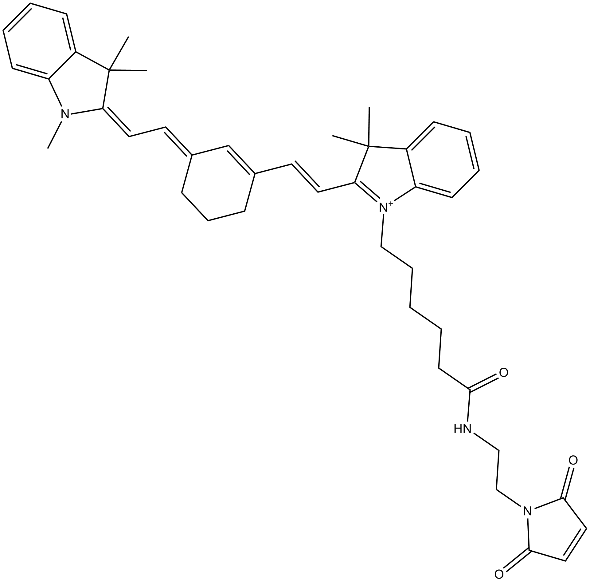 Cy7 maleimide (non-sulfonated) 化学構造