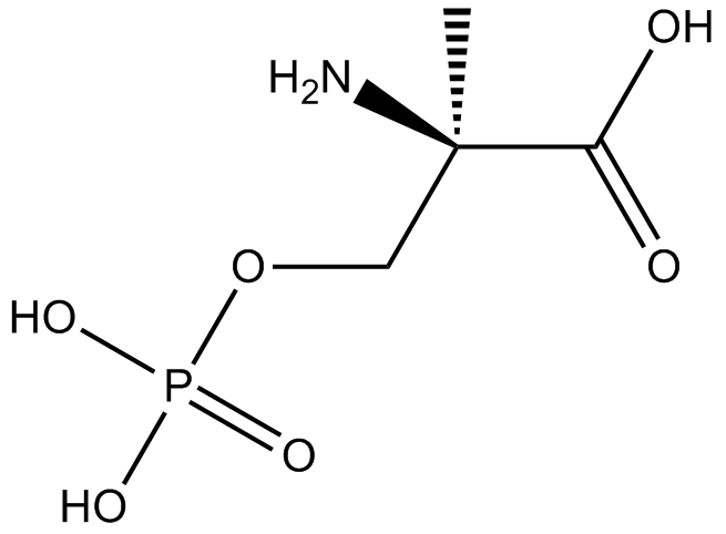 MSOP 化学構造