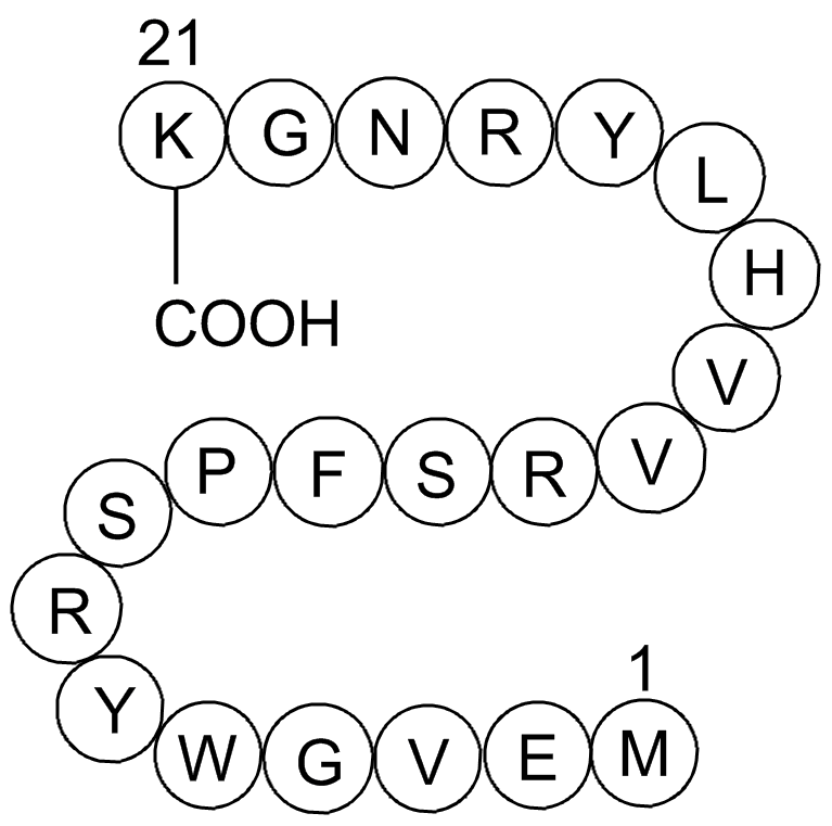 MOG (35-55) Chemische Struktur