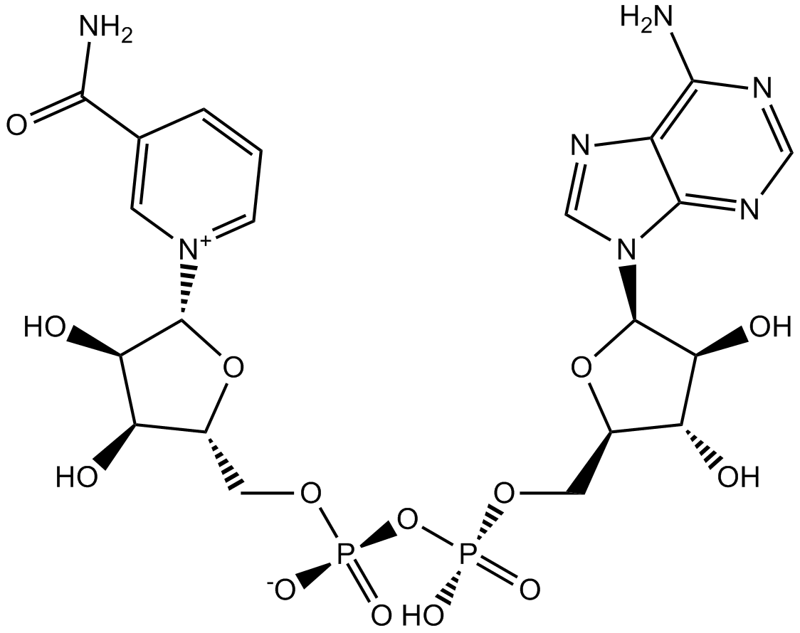 NAD+ Chemical Structure