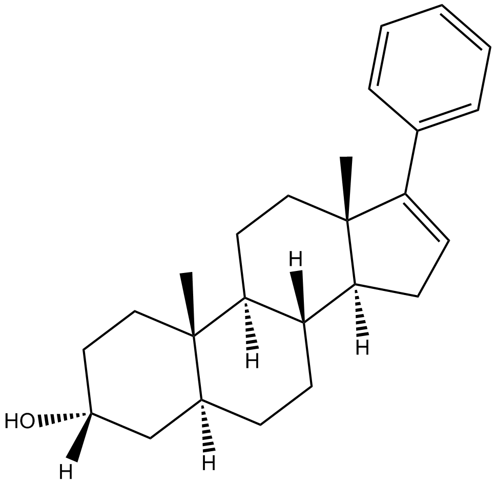 17-PA 化学構造