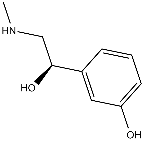 L-Phenylephrine 化学構造