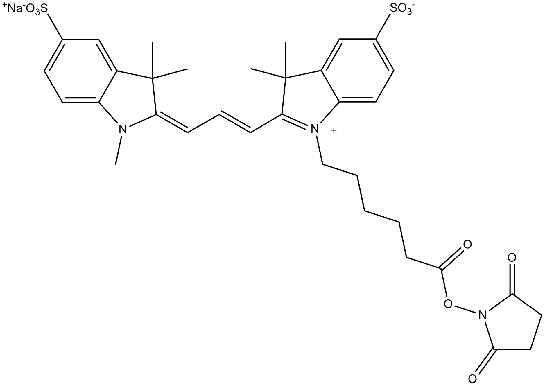 Cy3 NHS ester Chemische Struktur