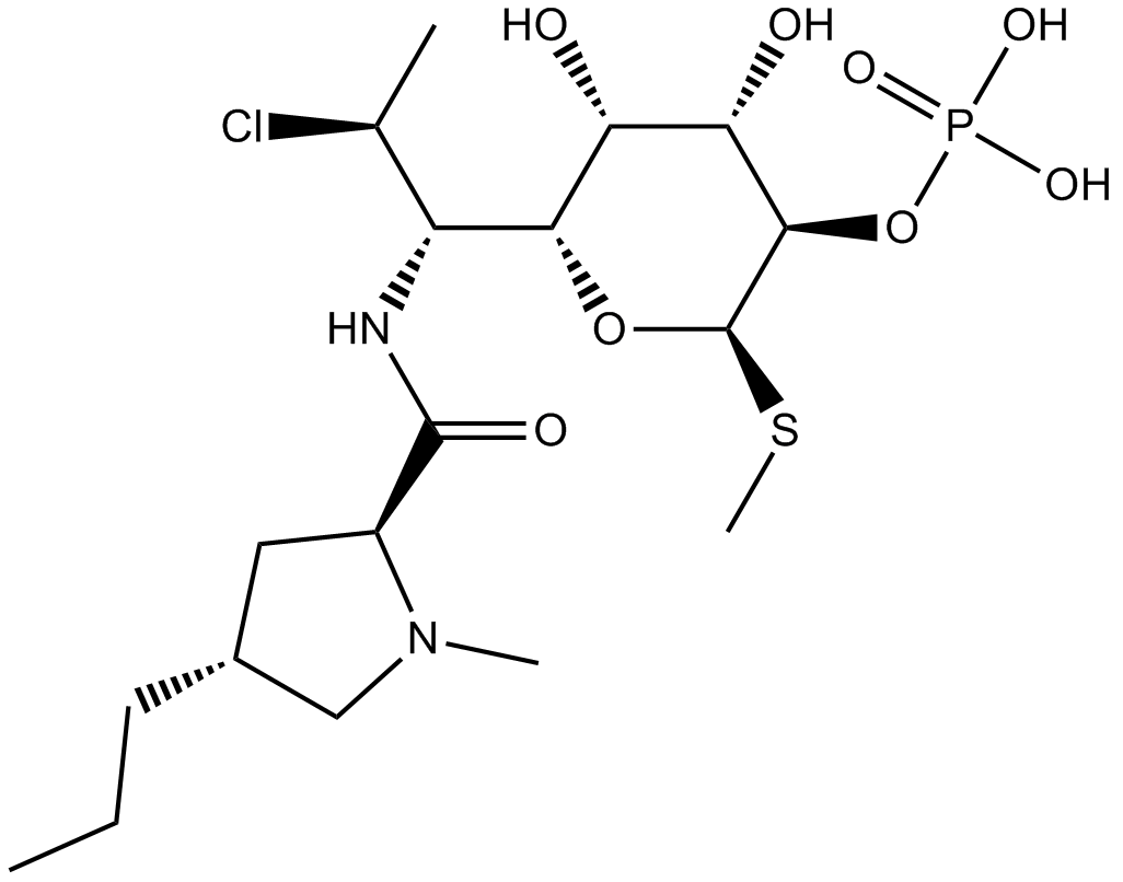 Clindamycin Phosphate 化学構造
