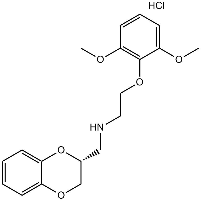 WB 4101 hydrochloride 化学構造