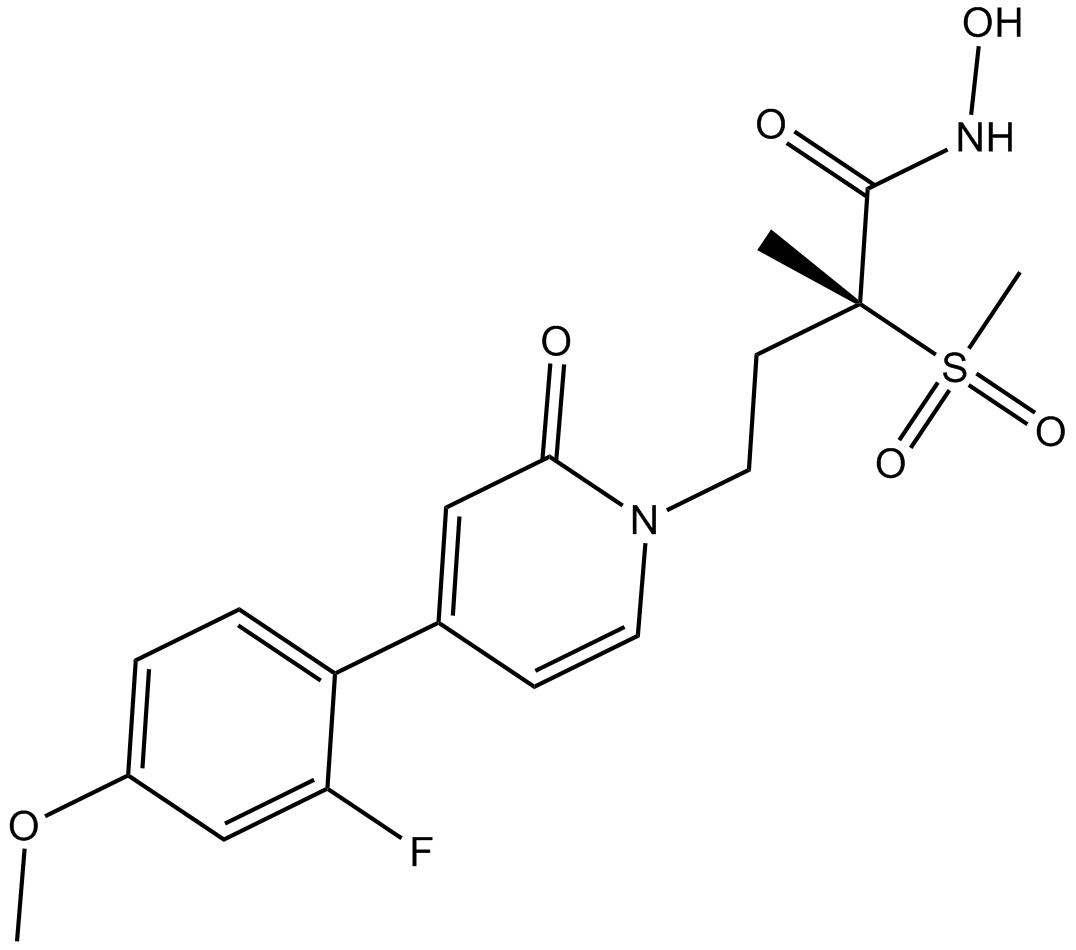 PF 5081090 化学構造