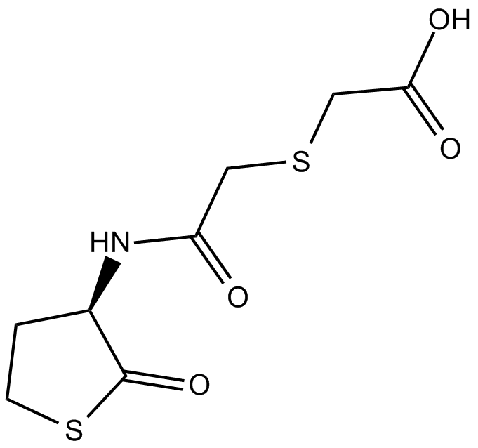 Erdosteine 化学構造