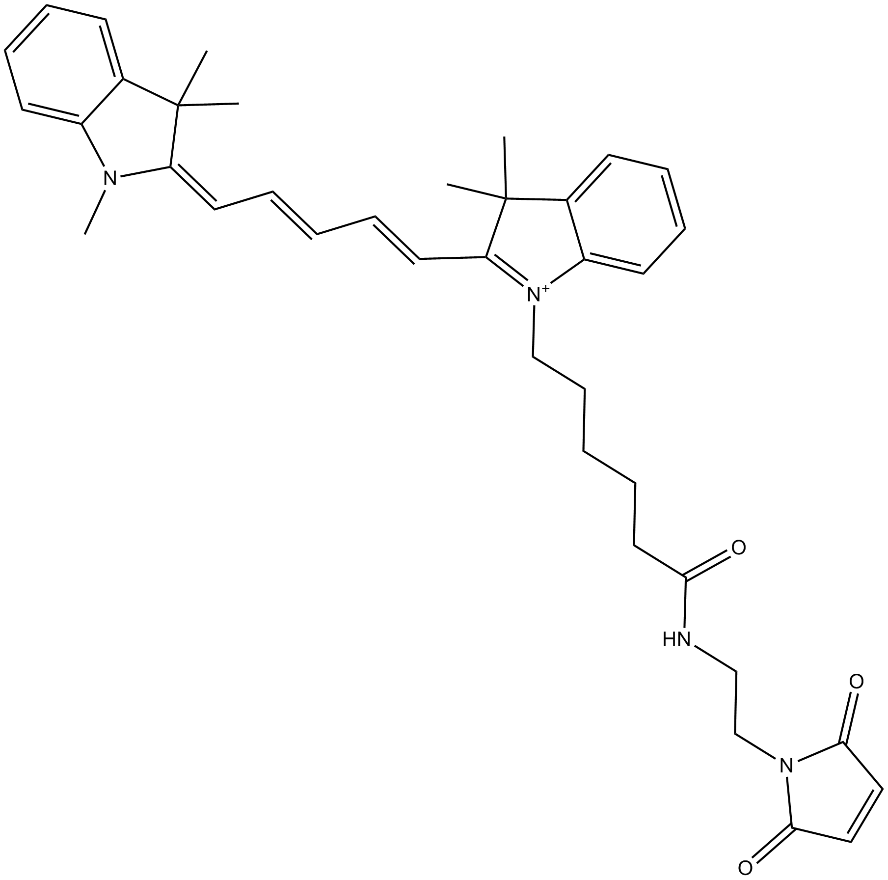 Cy5 maleimide (non-sulfonated) 化学構造