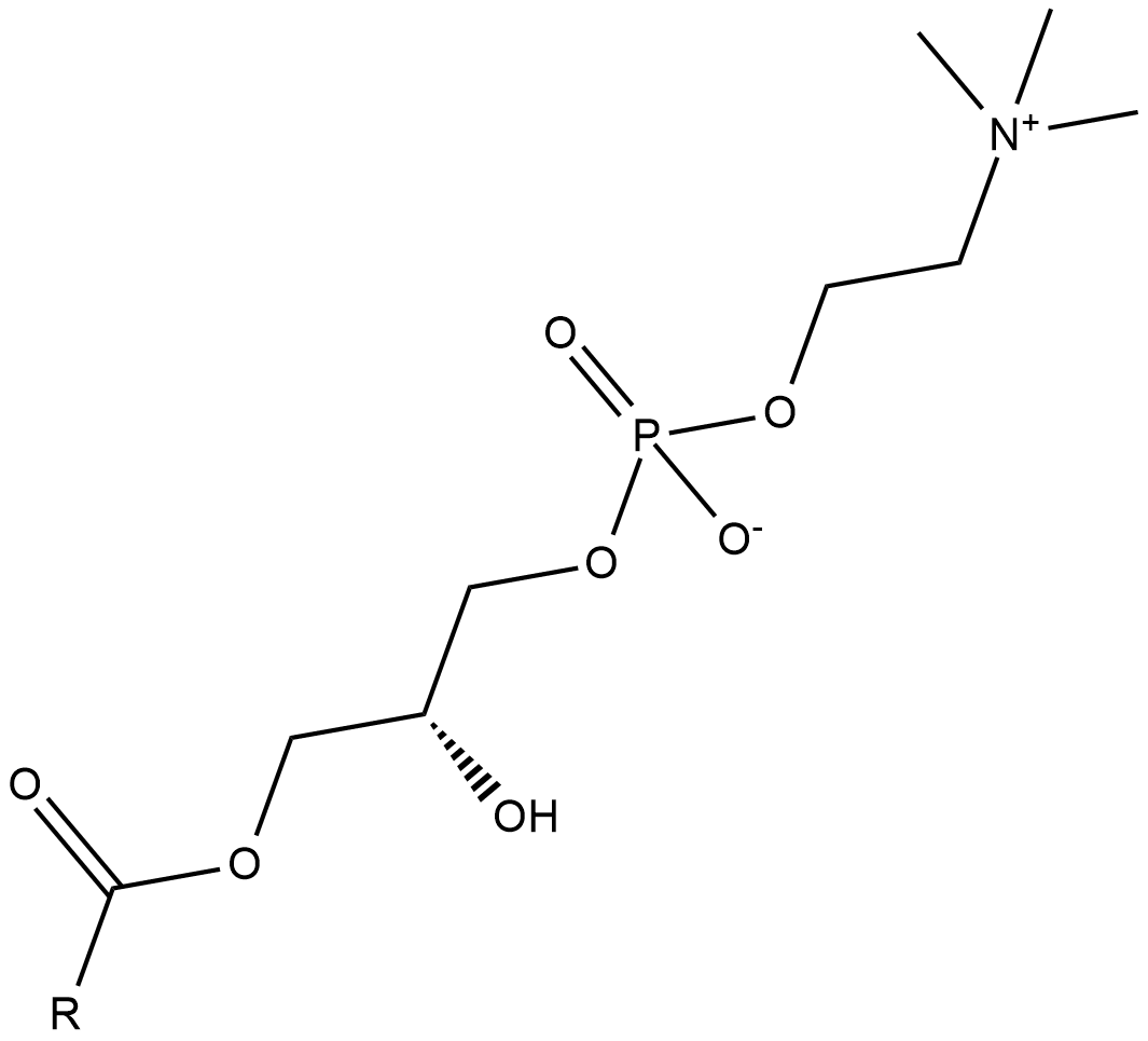 Lysophosphatidylcholines التركيب الكيميائي