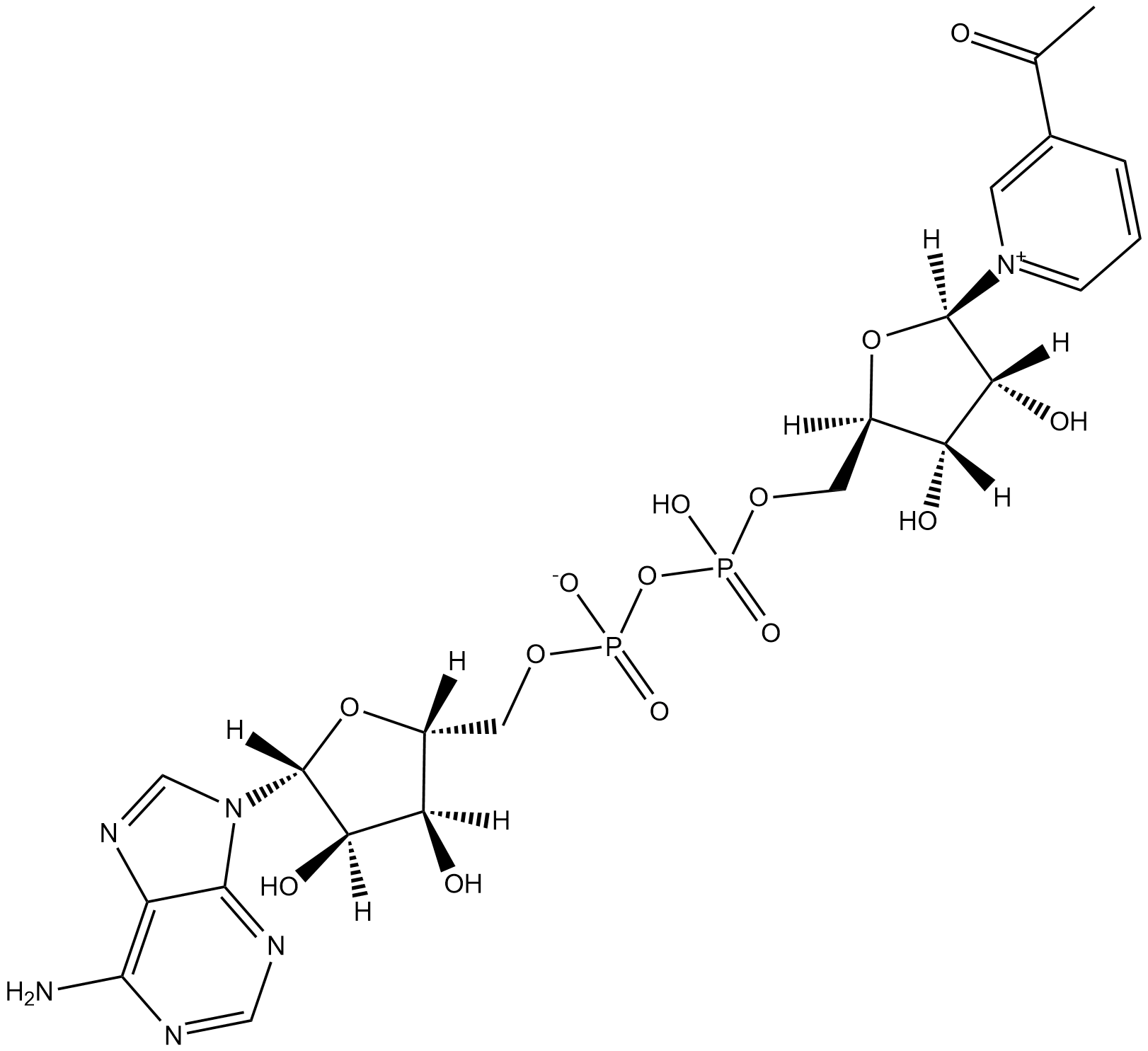 3-Acetylpyridine NAD 化学構造