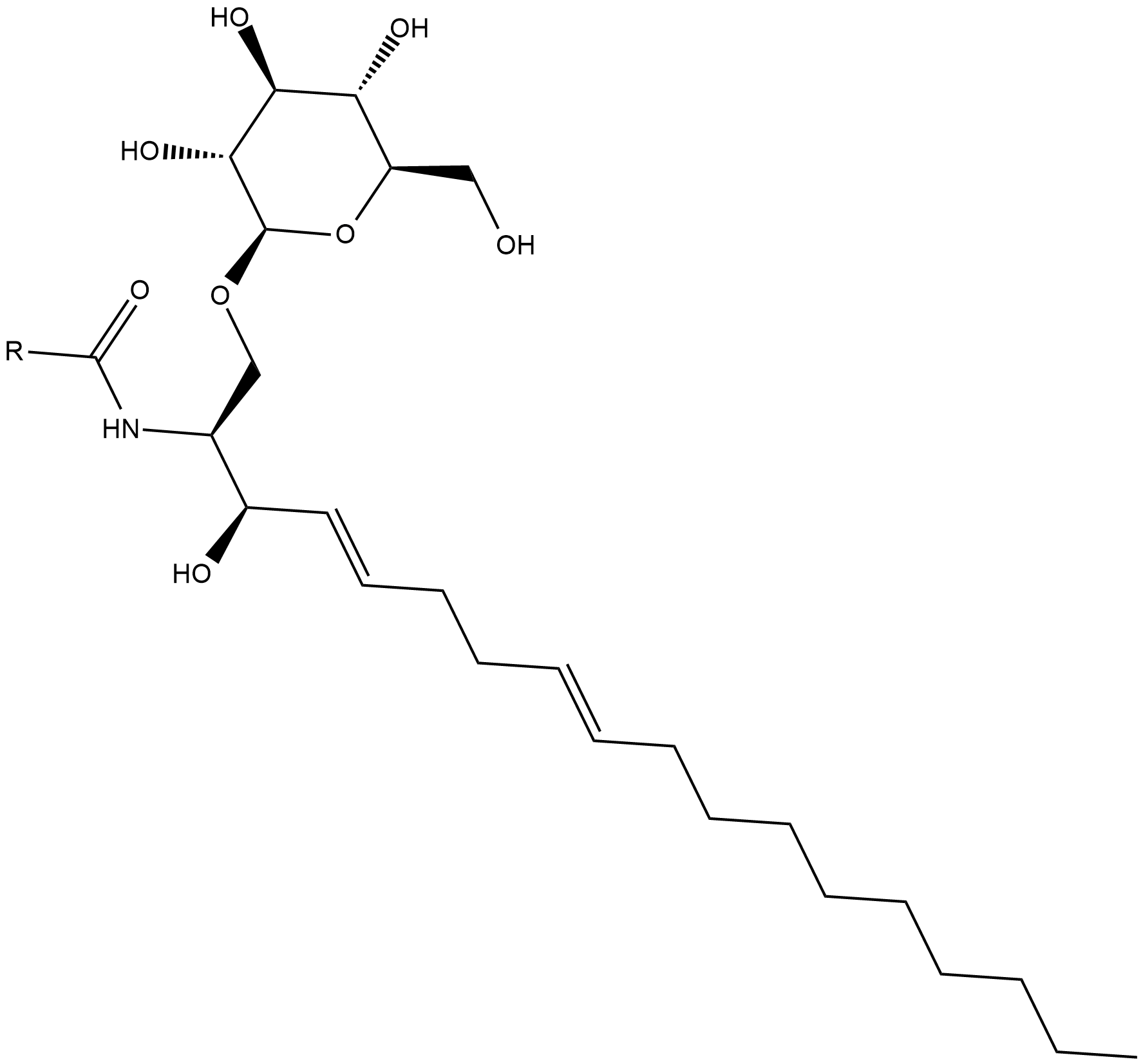 Glucocerebrosides 化学構造
