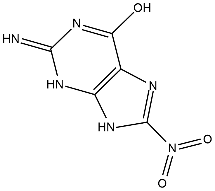8-Nitroguanine 化学構造