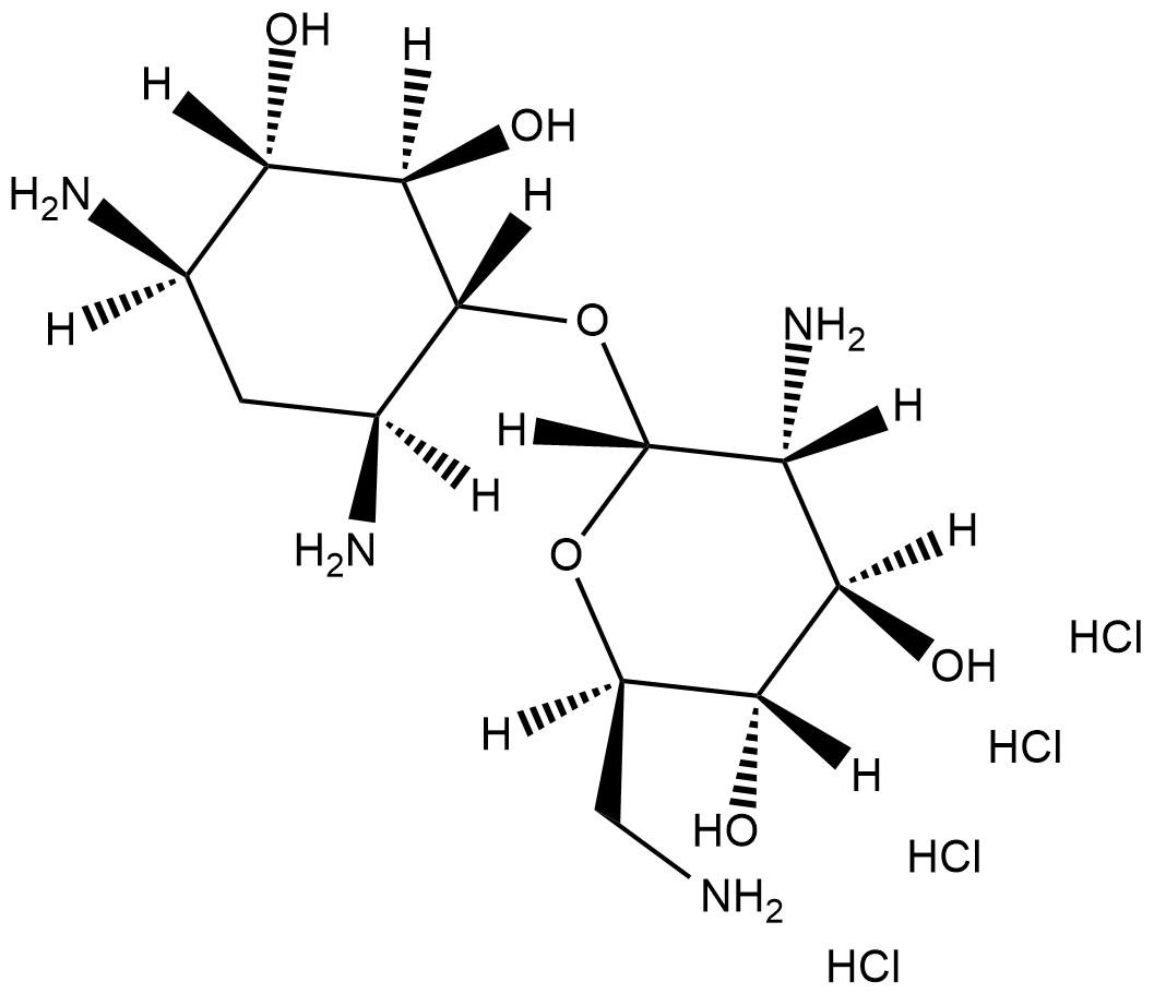 Neamine (hydrochloride) Chemische Struktur