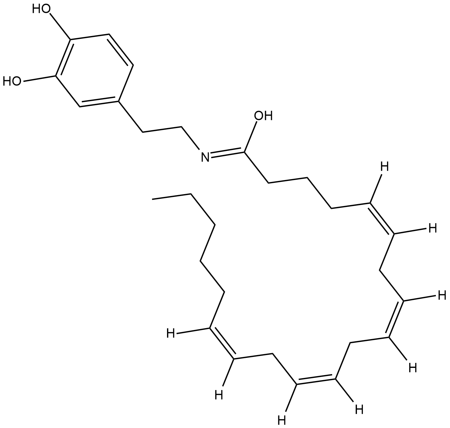 N-Arachidonoyl Dopamine 化学構造