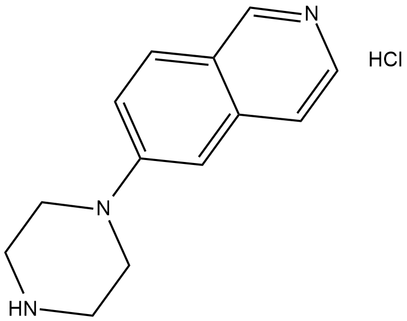6-piperazin-1-yl-Isoquinoline (hydrochloride) Chemische Struktur