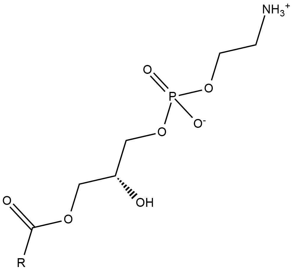 Lysophosphatidylethanolamines (egg)  Chemical Structure