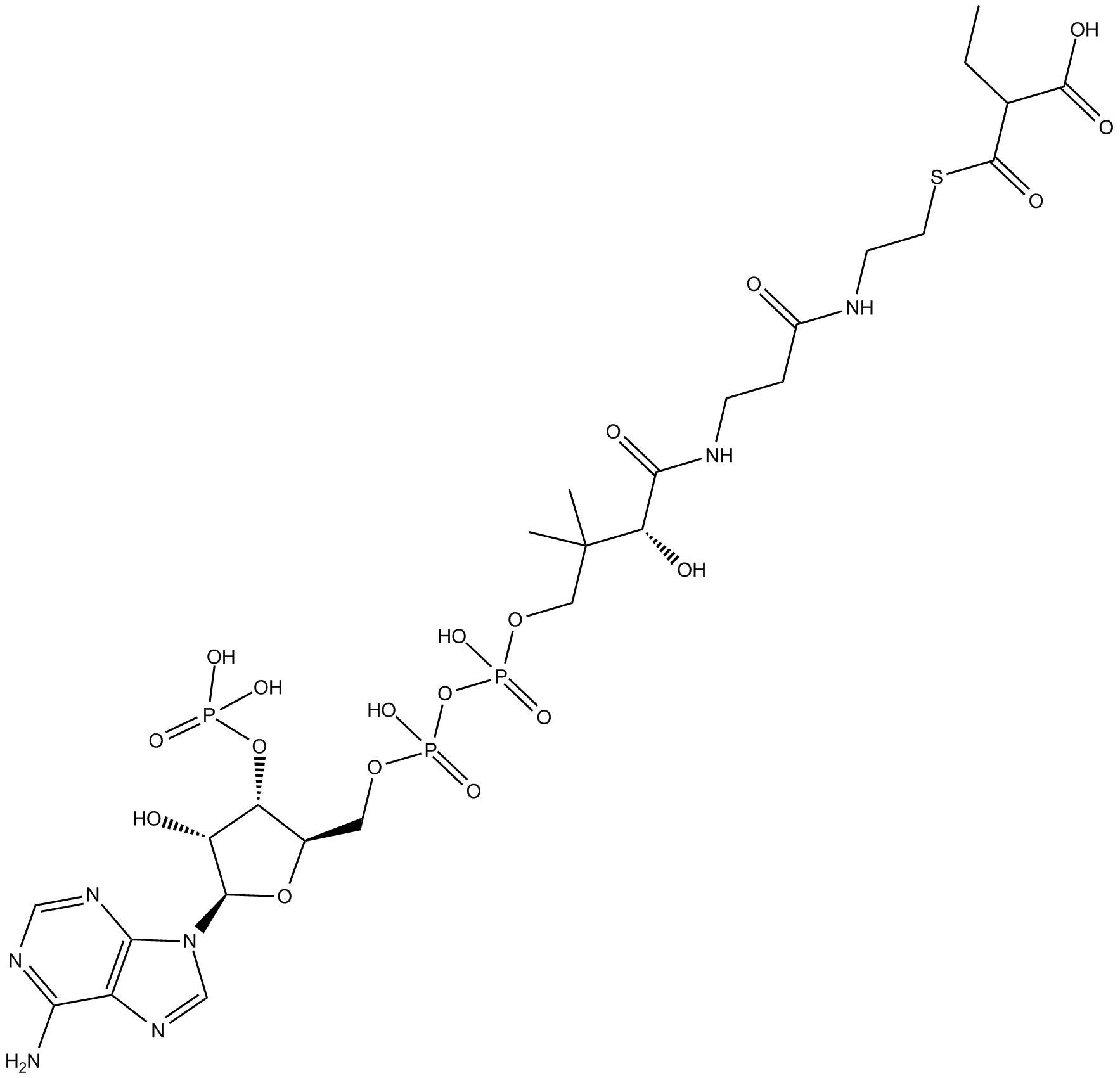 Ethylmalonyl Coenzyme A Chemische Struktur