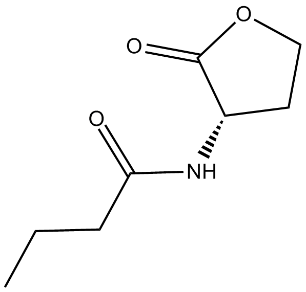 N-butyryl-L-Homoserine lactone 化学構造