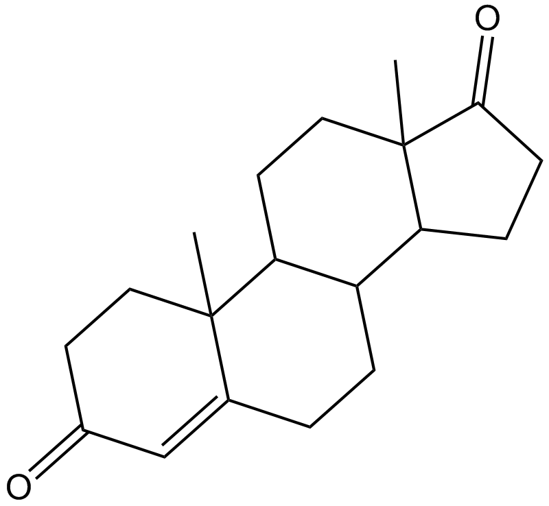 Androstenedione 化学構造
