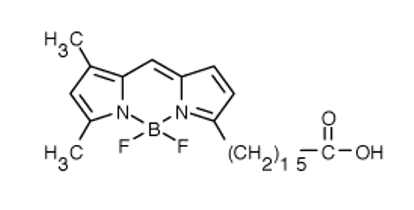 BODIPY FL C16 Chemische Struktur
