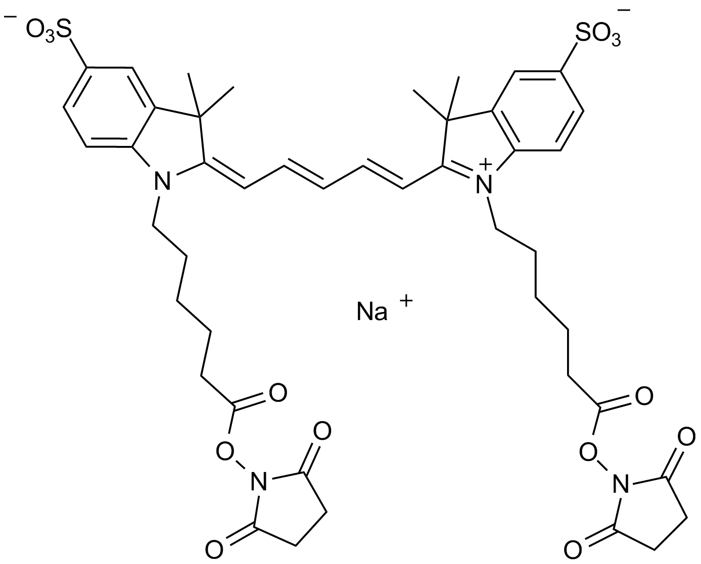 Cy5 Bis NHS ester Chemische Struktur