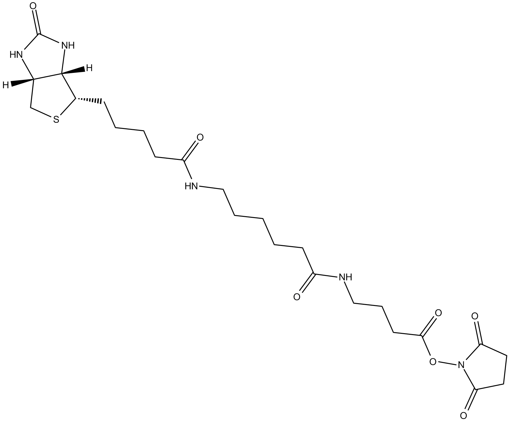 NHS-12-Biotin التركيب الكيميائي