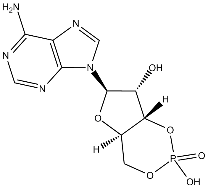 Cyclic AMP التركيب الكيميائي