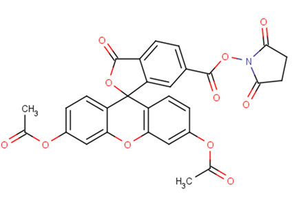 6-CFDA N-succinimidyl ester التركيب الكيميائي