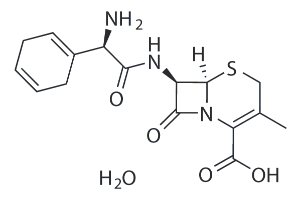Cephradine monohydrate Chemische Struktur