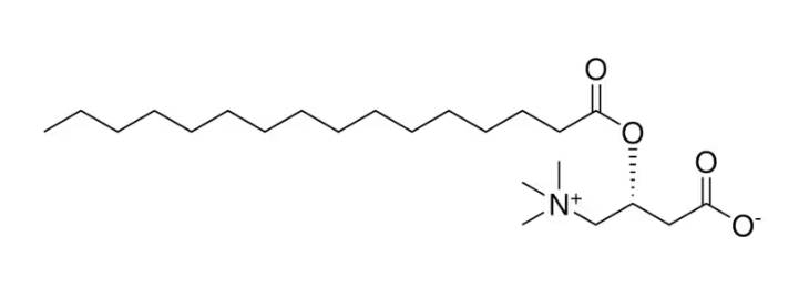 Palmitoylcarnitine