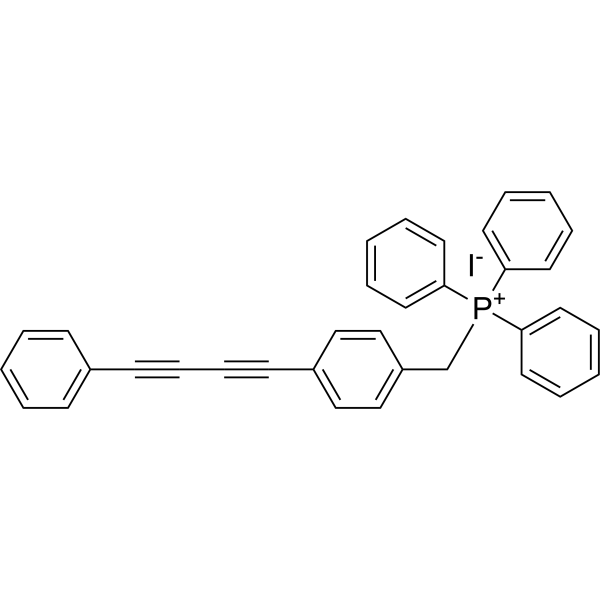 MitoBADY