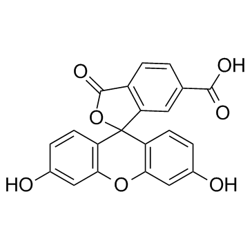 6-FAM (6-Carboxyfluorescein) التركيب الكيميائي