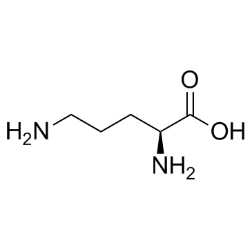 L-Ornithine ((S)-2,5-Diaminopentanoic acid) Chemical Structure