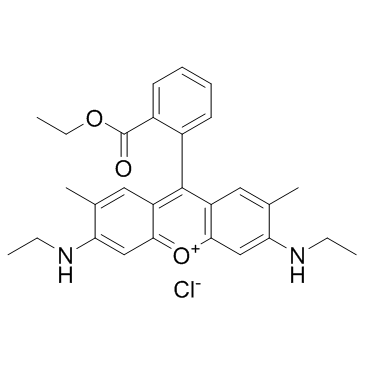 Rhodamine 6G (Basic Red 1) التركيب الكيميائي