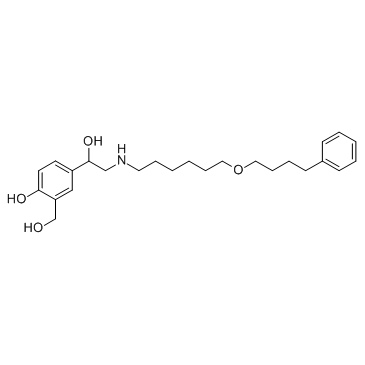 Salmeterol (GR33343X) 化学構造