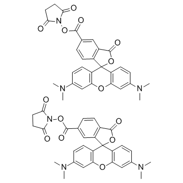 5(6)-TAMRA SE (5(6)-Carboxytetramethylrhodamine N-succinimidyl ester)  Chemical Structure