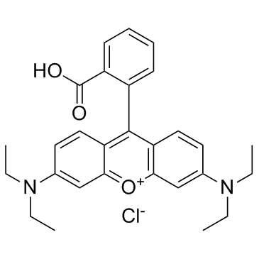 Rhodamine B (Basic Violet 10) 化学構造