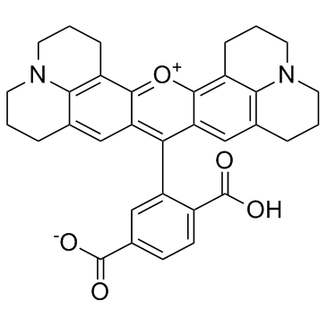 6-ROX (6-Carboxy-X-rhodamine) 化学構造