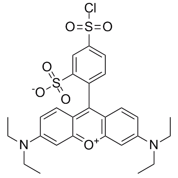 Sulforhodamine B acid chloride 化学構造