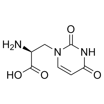 (S)-Willardiine ((-)-Willardiine)  Chemical Structure