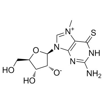 MESG (7-methyl-6-Thioguanosine) Chemische Struktur