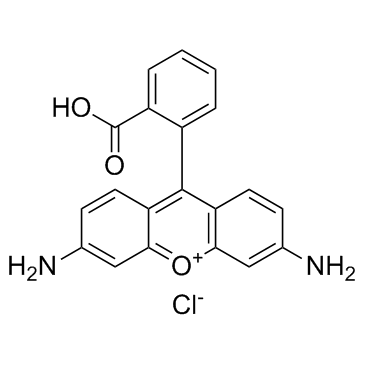 Rhodamine 110 (Rhodamine 110 chloride) Chemical Structure