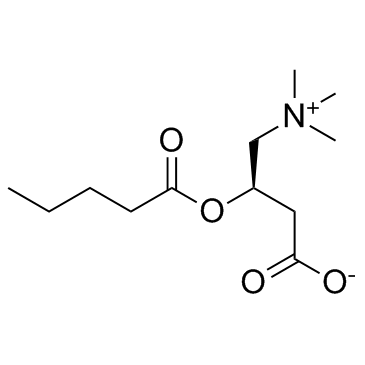 Valerylcarnitine Chemische Struktur