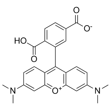 6-TAMRA (6-Carboxytetramethylrhodamine) 化学構造