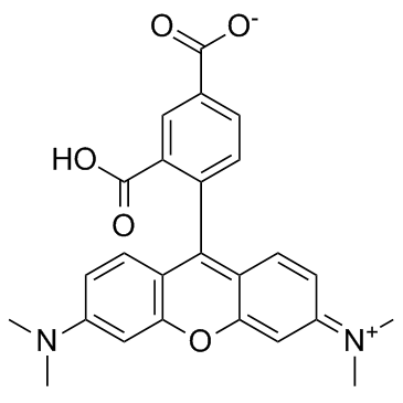 5-TAMRA (5-Carboxytetramethylrhodamine)  Chemical Structure