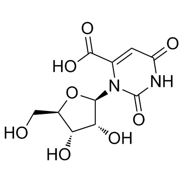 Orotidine 化学構造