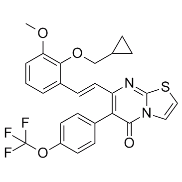 TRPV antagonist 1 化学構造