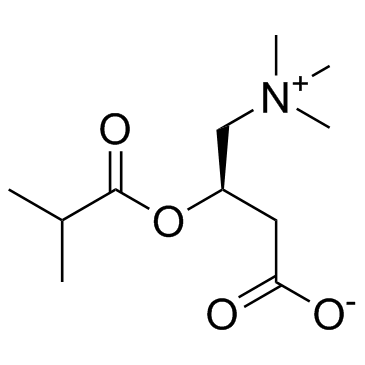 Isobutyryl-L-carnitine Chemical Structure
