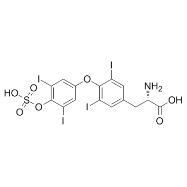 Thyroxine sulfate (T4 Sulfate) Chemische Struktur